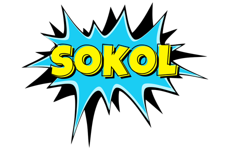 Sokol amazing logo