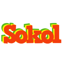 Sokol bbq logo