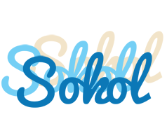 Sokol breeze logo