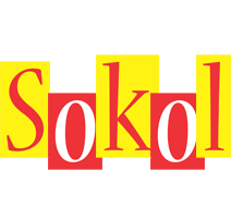 Sokol errors logo