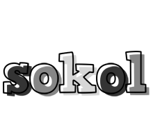 Sokol night logo