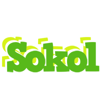 Sokol picnic logo