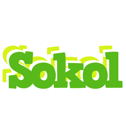 Sokol picnic logo