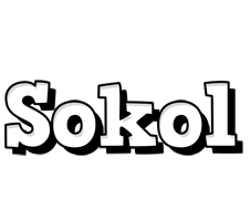 Sokol snowing logo