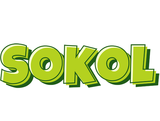 Sokol summer logo