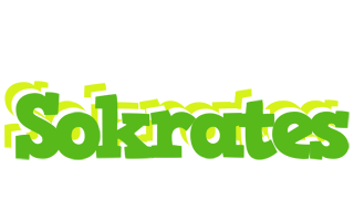 Sokrates picnic logo