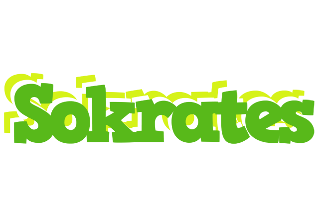 Sokrates picnic logo
