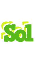 Sol picnic logo