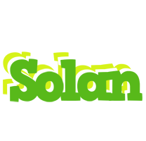 Solan picnic logo