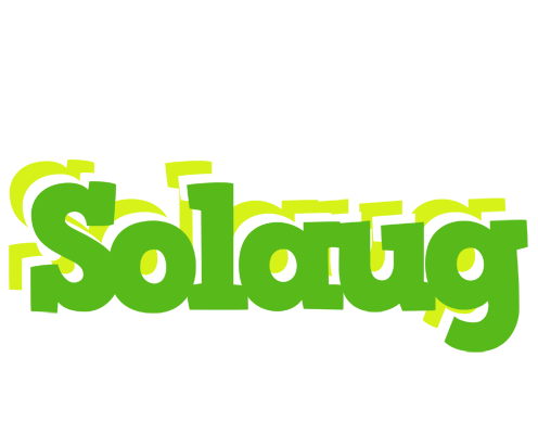 Solaug picnic logo