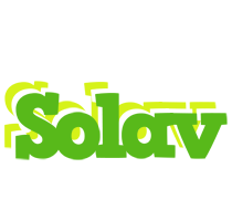 Solav picnic logo