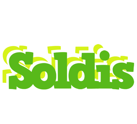 Soldis picnic logo