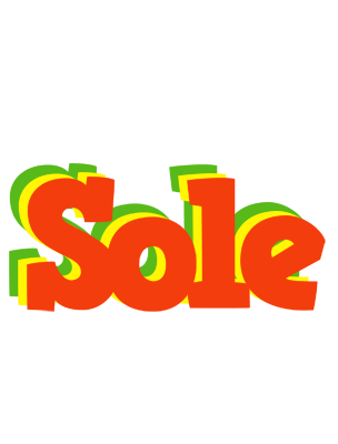 Sole bbq logo