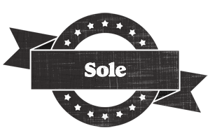 Sole grunge logo