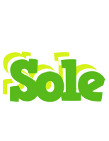 Sole picnic logo