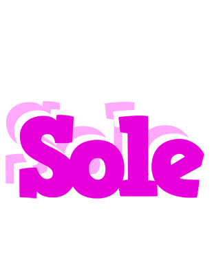 Sole rumba logo