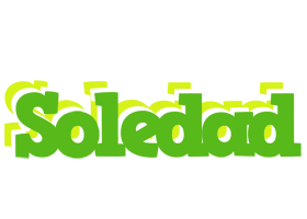 Soledad picnic logo