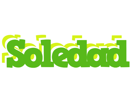 Soledad picnic logo