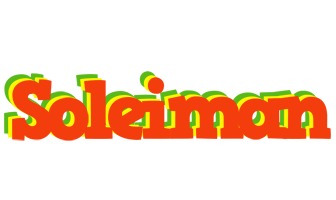 Soleiman bbq logo