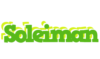 Soleiman picnic logo
