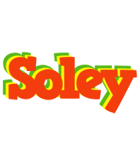 Soley bbq logo