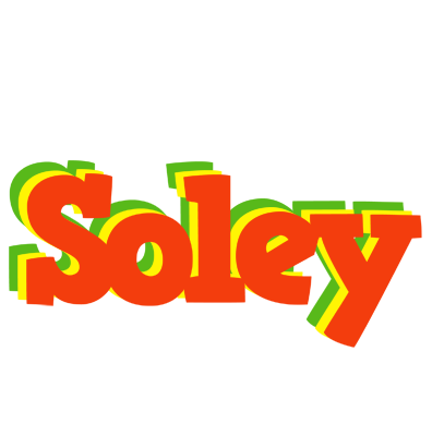 Soley bbq logo