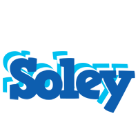 Soley business logo