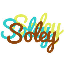 Soley cupcake logo