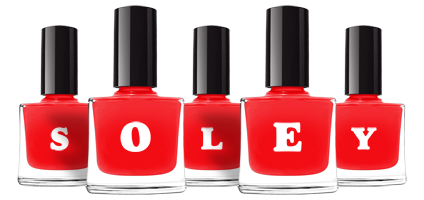 Soley fashion logo