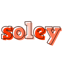 Soley paint logo
