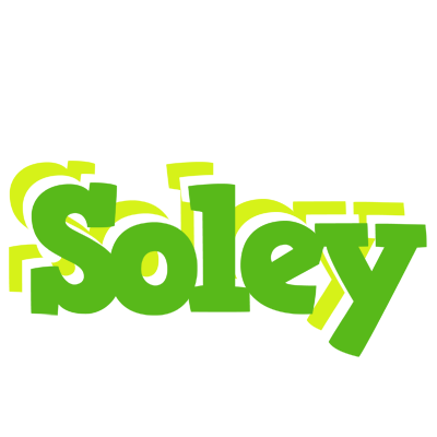 Soley picnic logo