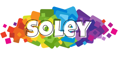 Soley pixels logo