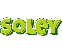 Soley summer logo