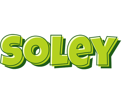 Soley summer logo