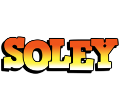 Soley sunset logo