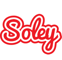Soley sunshine logo