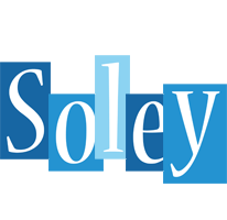 Soley winter logo