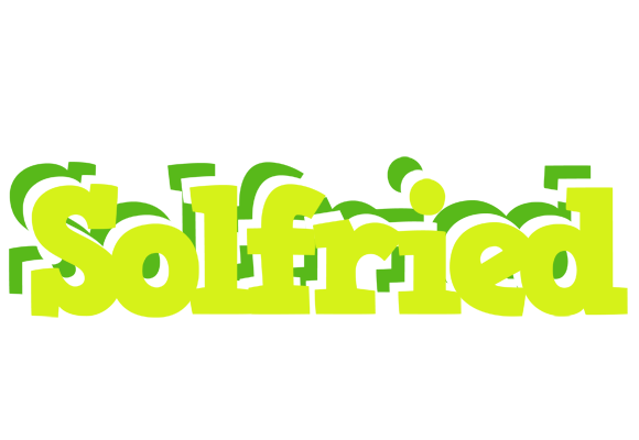 Solfried citrus logo