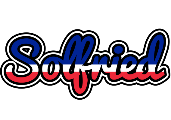 Solfried france logo
