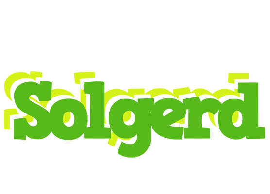 Solgerd picnic logo