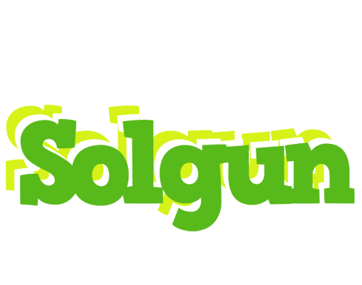 Solgun picnic logo