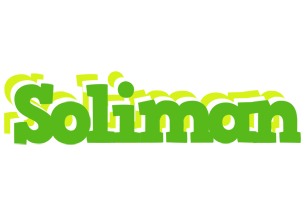 Soliman picnic logo