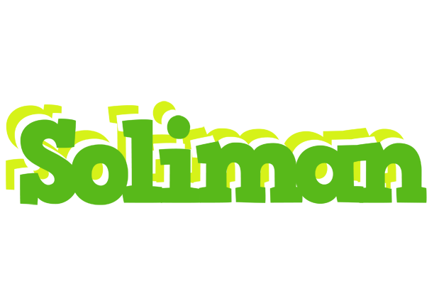 Soliman picnic logo