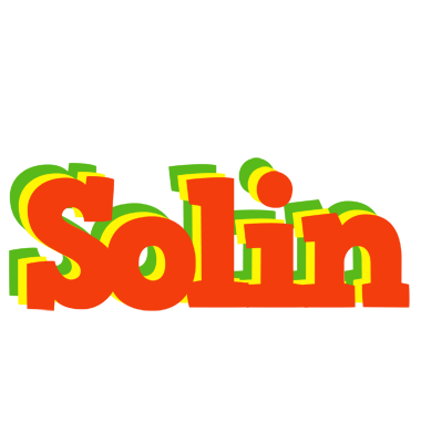 Solin bbq logo
