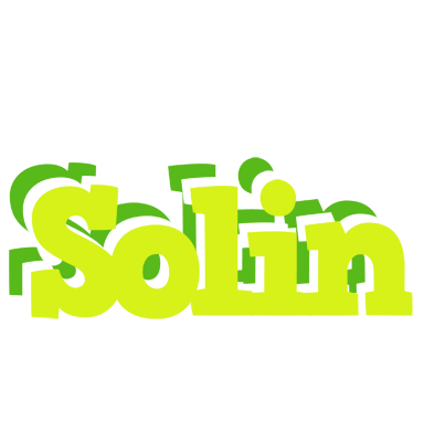 Solin citrus logo
