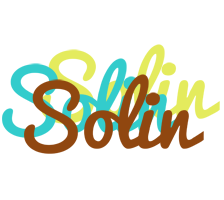 Solin cupcake logo