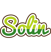 Solin golfing logo