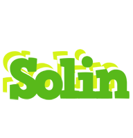 Solin picnic logo