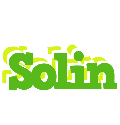 Solin picnic logo