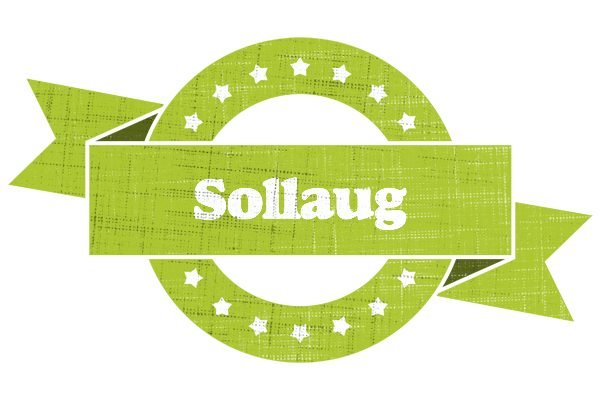 Sollaug change logo
